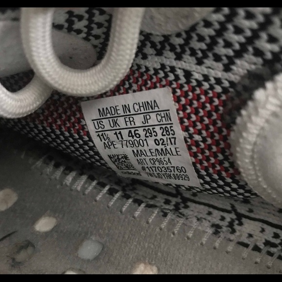 Zebras - Picture 5 of 6